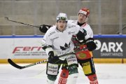BELLINZONA - OLTEN