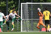 YB - KRIENS