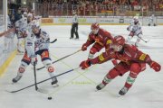 TIGERS - ZSC