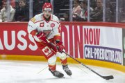 LAUSANNE - MOUNTFIELD