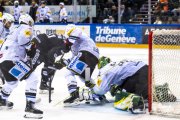 GENF - FRIBOURG
