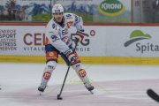 TIGERS - ZSC