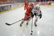 TIGERS - LUGANO