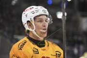 AMBRI - TIGERS