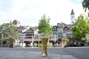 POKAL THUN