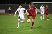 BELLINZONA - WIL