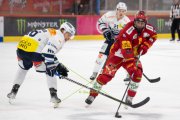 TIGERS - AMBRI
