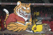 TIGERS - BERN