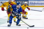 FRIBOURG - TIGERS