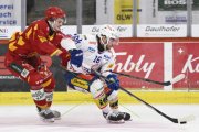 TIGERS - KLOTEN