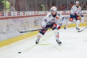 TIGERS - ZSC