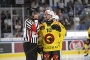 ZSC - BERN