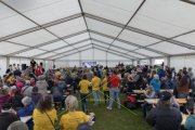 BASELSTAEDTISCHER SCHWINGERTAG