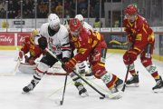 TIGERS - LAUSANNE