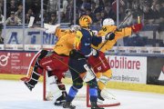 AMBRI - TIGERS