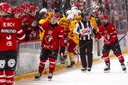 LAUSANNE - TIGERS