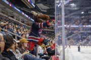 WINNIPEG - ARIZONA