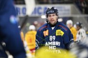 AMBRI - TIGERS