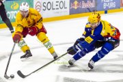 FRIBOURG - TIGERS