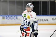 AMBRI - TIGERS