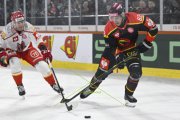 BERN - MOUNTFIELD