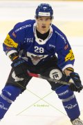 FRIBOURG - TIGERS