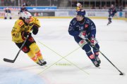 ZSC - BERN