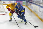 FRIBOURG - TIGERS