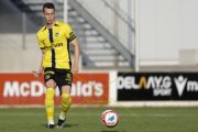 YB - KRIENS