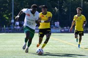 YB - KRIENS