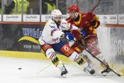 TIGERS - KLOTEN
