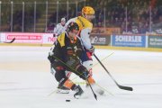 BERN - ZSC