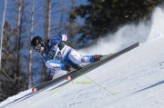 BEAVER CREEK 23