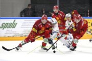 AMBRI - TIGERS