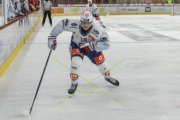 TIGERS - ZSC