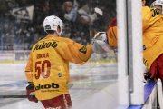 AMBRI - TIGERS