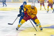 FRIBOURG - TIGERS