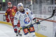 TIGERS - ZSC