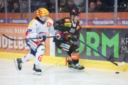BERN - ZSC