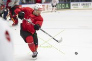 TRAINING SCHWEIZ