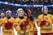 AMBRI - TIGERS