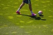 SCHWEIZ TRAINING