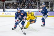 ZSC - DAVOS