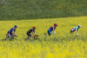 TOUR DE ROMANDIE 2026