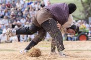 SOLOTHURNER KANTONAL SCHWINGFEST