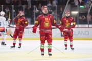 TIGERS - ZSC