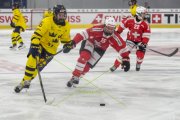 SCHWEIZ - SCHWEDEN