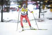 FALUN 2023