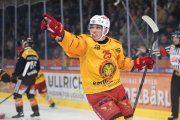 BERN - TIGERS