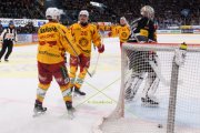 FRIBOURG - TIGERS